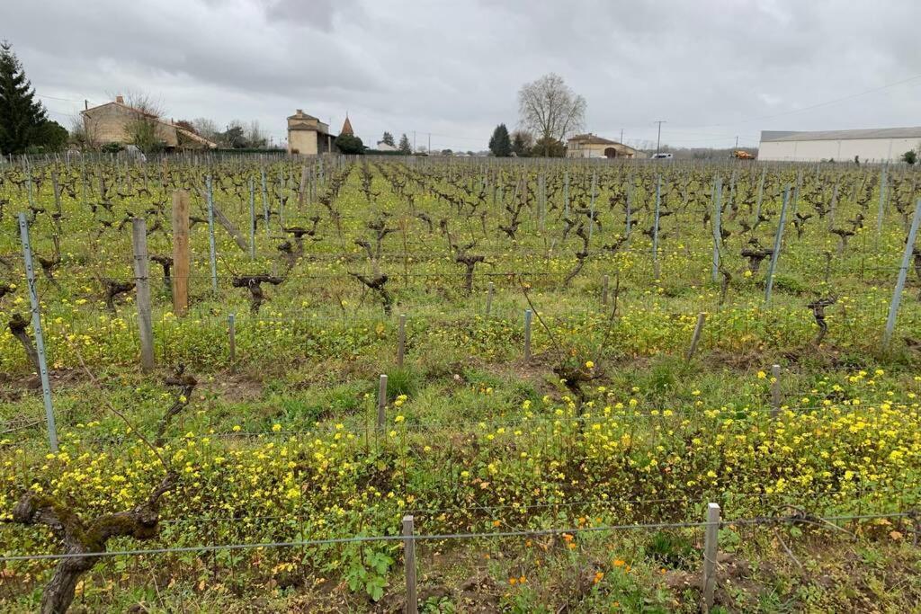 Chateau Roseyrol Proche Saint-Emilion Kültér fotó
