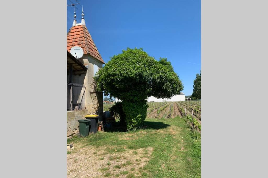 Chateau Roseyrol Proche Saint-Emilion Kültér fotó