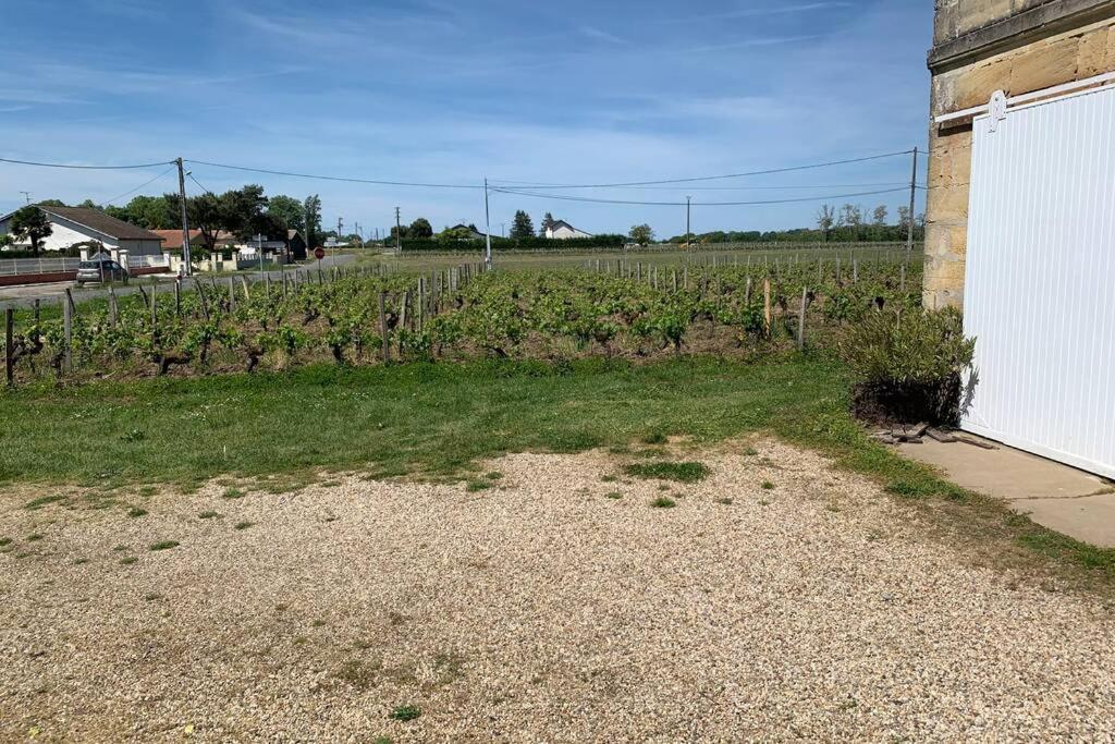 Chateau Roseyrol Proche Saint-Emilion Kültér fotó